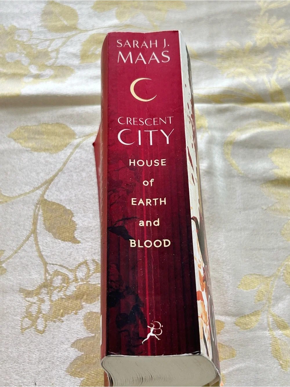 Sarah J Maas Crescent City House of Earth And Blood